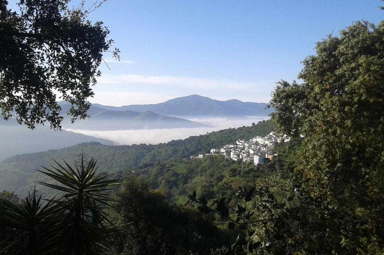 דירות Benadalid Casa El Chaparral Songbird Mountain מראה חיצוני תמונה