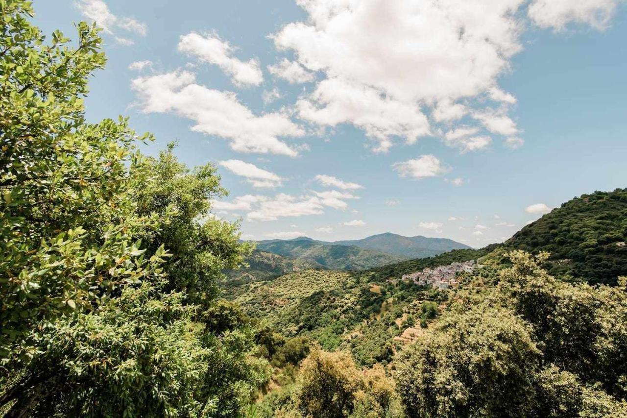 דירות Benadalid Casa El Chaparral Songbird Mountain מראה חיצוני תמונה